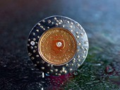 213 - BROOCH | The Dreaming Queen, silver, gold, stainless steel, 50 Cent NL, diamond, Starlight Coin