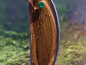 313 - BROOCH | Golden Wings, SS, gold plated, ruby, emerald, diamond, rock crystal plate