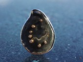 320 - BROOCH | Happy Stars, SS, gold, piece of shell, diamonds, Star Art: North Crown