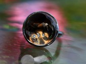 305 - RING | Diamond Game, ES, Gold, Bergkristall Opstein, Brillant, Kinetik, Op Art