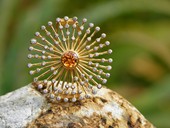 48 |  Brooche, Sun Wheel, Gold, Diamonds, Yellow Garnet, 2005