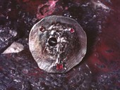 39 |  Brooch, Gold, Diamond, Ruby, Taurus 1968