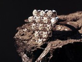 54 |  Ring, Light Grapes, White Gold, Diamonds, Reflection, German Diamond Award 1974