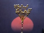  12 | Brooch, Liberty, Gold, Diamonds, Braille Art, 1996