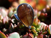 344 - RING | Crystal Life, SS, gold, Cocoxionite, diamond, Active Art